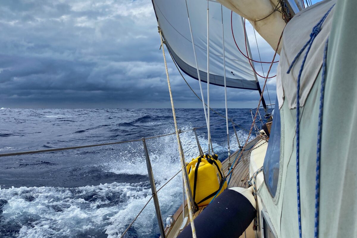 Blue Alligator on the Atlantic.